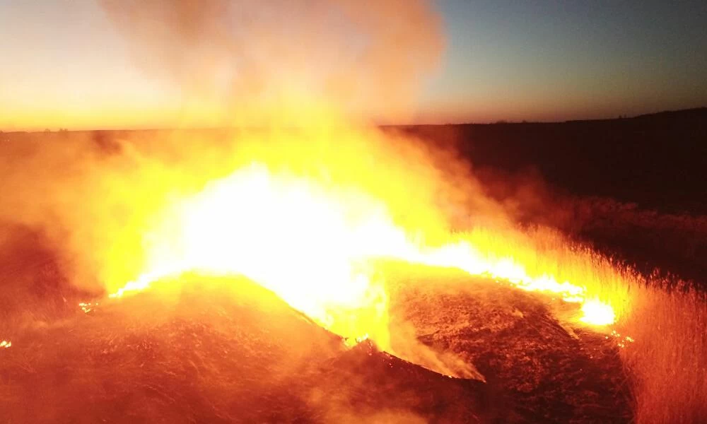 Έρευνα: Οι φωτιές στο Τσερνόμπιλ δεν θέτουν σε κίνδυνο την υγεία